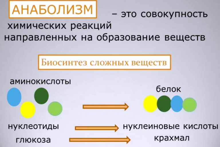 Анаболизм вк машин